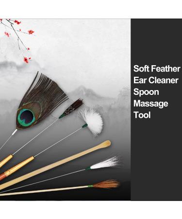 Layhou Ear Massage Set - Stainless Steel Earwax Cleaner Kit with Goose Feather Earpick and Spiral Ear Clean Tool - Buy Online on GoSupps.com