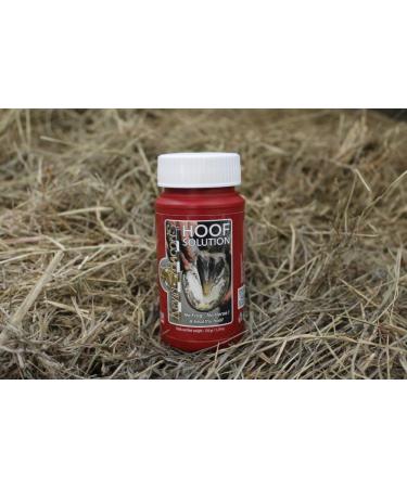 Kevin Bacon s Hoof Solution 150g | Fast Application for All Horse Types | Integrated Brush | Reduces Hoof Problems - Buy Online on GoSupps.com