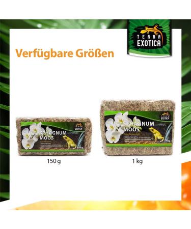 Terra Exotica Sphagnum Moss - Premium 300g Peat Moss for Garden Houseplants & Terrariums | Fast International Shipping - Buy Online on GoSupps.com