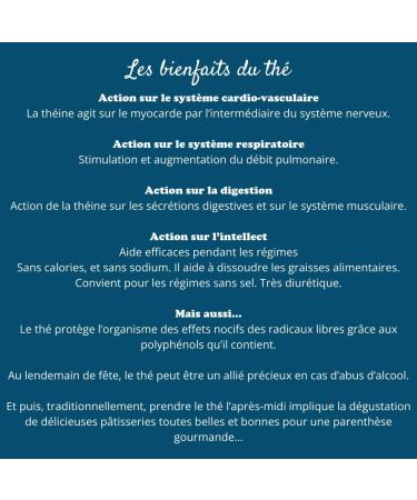 2x100g de Mat la P che - D licieux Chaud ou Glac | Mat Verger Energisant COMPTOIR FRAN AIS DU TH Verger nergisant - Buy Online on GoSupps.com