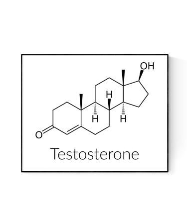 Testosterone Molecular Structure | Science And Chemistry | Art Print (16x20)