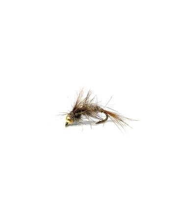 School of Fly Fishing - Hares Ear 12 PC Nymph Fly Assortment