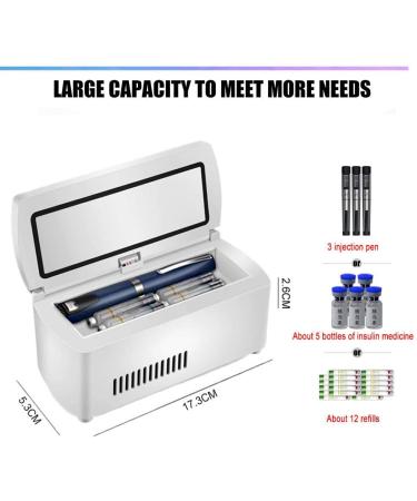 Small Fridge Cooler Portable Insulin Refrigerator Cooler Built-in Rechargeable Lithium Battery Suitable for Insulin Serum Interferon Eye Drops Storage Travel Airplane - Buy Online on GoSupps.com