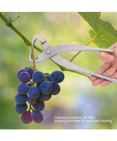 200mm Chrome Alloy Trunk Splitter & Bonsai Scissors - Premium Pruning Tool for Garden & Bonsai Trimming - Buy Online on GoSupps.com