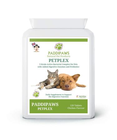 Probiotics for Dogs and Cats - Yeast Infection Treatment for Dogs - Dog Probiotics for Gut Health - 5 strain active bacteria with digestive enzymes and prebiotics - 120 Chicken Flavour Tablets.