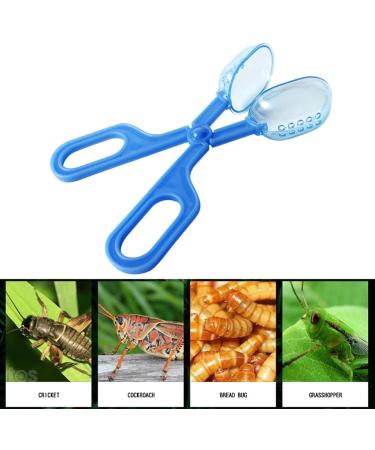 Feeding Tools for Aquariums & Reptiles - Scissors Clamps & Tongs | International Shipping Available - Buy Online on GoSupps.com