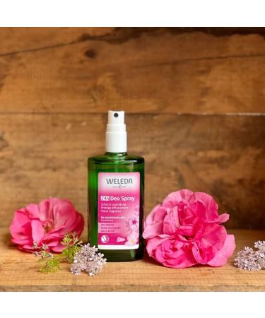 Weleda Wild Rose Deodorant 100 ml Fresh 100 ml (Pack of 1) - Buy Online on GoSupps.com