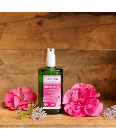Weleda Wild Rose 24h Deodorant Spray 3.4 Ounce Wild Rose 3.3 Fl Oz (Pack of 1) - Buy Online on GoSupps.com