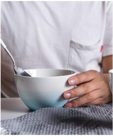 GAXQFEI Snack Bowls-Gradient Salad Bowl Gradient Salad Bowl Fruit Bowl Soup Porridge Bowl Hand Painted Kitchen Restaurant 400Ml Non-Slip Bottom Gray - Buy Online on GoSupps.com