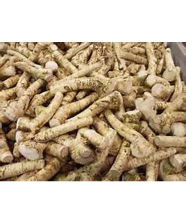 Horseradish Roots 12 ounces (USA ONLY Can not ship internationally) Ready For Planting or Preparing As Sauces or Dressings etc. - Buy Online on GoSupps.com