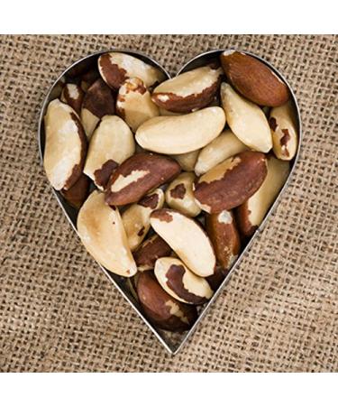 Vitalesia Paranese Nuts 500g - 100% Natural Untreated & Unsalted - Premium Quality from Bolivia - Buy Online on GoSupps.com