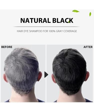 3-in-1 Natural Black Hair Dye Shampoo | Cover Greys | Permanent Color - Ammonia Free | Herbal Formula | 400ml (Black) - Buy Online on GoSupps.com