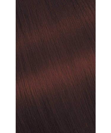 Buy #76 Copper Brown Bigen Permanent Powder - 3 Pack | Long-Lasting Hair Color for International Shipping - Buy Online on GoSupps.com