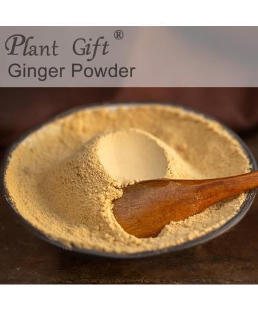 100% Natural Pure Apple Powder 100g/3.52oz pour smoothies shakes p tisseries et boissons th s jus de fruits | sans conservateurs sans sucre ajout  - Buy Online on GoSupps.com