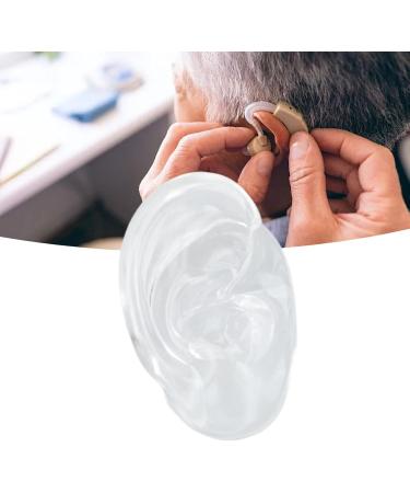 Realistic Human Right Ear Model - Soft Touch Silicone | Clear Structure & Transparent Color for Educational Lessons - International Shipping Available - Buy Online on GoSupps.com