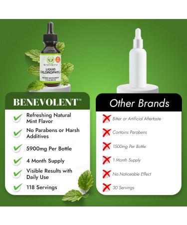 Chlorophyll Liquid Drops - Energy Boost & Immune Support | Internal Deodorant | Altitude Sickness Relief | Premium Quality Natural Formula | Minty Taste | 2X Absorption - Buy Online on GoSupps.com