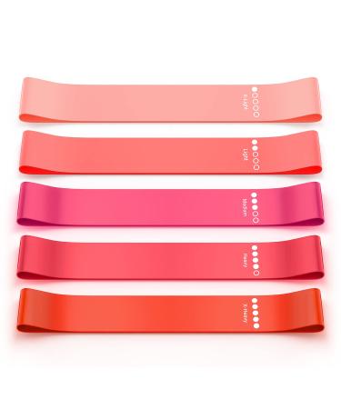 Resistance Bands, Exercise Workout Bands for Women and Men, 5 Set of Stretch Bands for Booty Legs, Pilates Flexbands Pinks