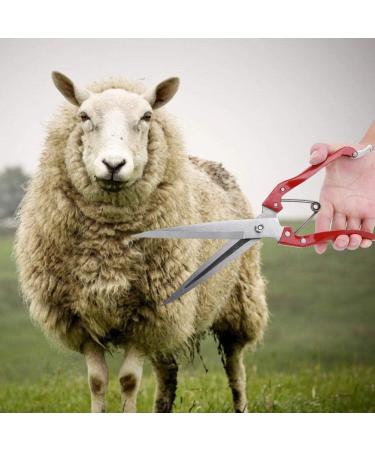 Multifunctional Stainless Steel Sheep Shears & Garden Scissors - 30cm Needle-Nose Plant Rose Vineyards & Florist Scissors - Buy Online on GoSupps.com