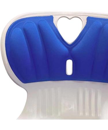 MERIGLARE Lumbar Support Pillow for Sitting Comfort Blue - Buy Online on GoSupps.com