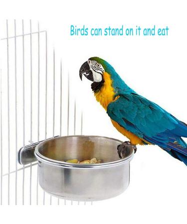 PINVNBY Stainless Steel Parrot Feeding Cups - Pack of 2 | Bird Food Dish with Clamp Holder for Cockatiel Conure Budgies Parakeet Macaw Chinchilla - Buy Online on GoSupps.com