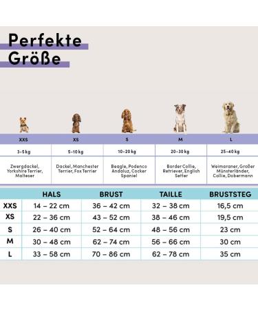 STUCH Dog Harness - Adjustable Padded Nylon Harness for Small Medium & Large Dogs - Gray XXS - International Shipping Available - Buy Online on GoSupps.com