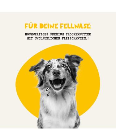 Dogs'n Tiger - Lamb of Innocence - Adult Dog Food - Monoprotein - 58% Meat - Suitable for Allergy Sufferers - Sugar and Grain Free (Lamb with Vegetables) - 1 x 2 kg - Buy Online on GoSupps.com