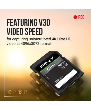 PNY 256GB Elite-X Class 10 U3 V30 SDXC Memory Card - 100MB/s, 4K UHD & Full HD, UHS-I, Full Size SD - Buy Online on GoSupps.com