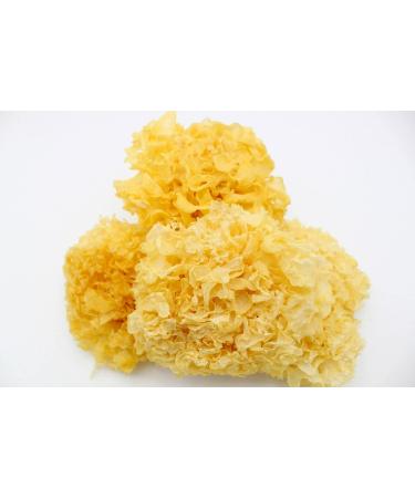 TCM Herbs USA Yin Er Xue Er/Dried Snow Fungus/Dried Tremella Fruiting Body/White Wood Ear (16 oz)