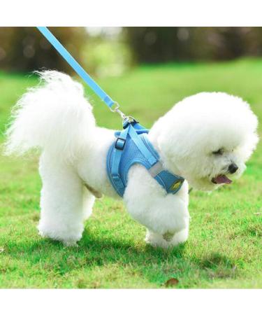 Femax Soft Mesh Dog Harness with Leash for Small & Medium Dogs | Adjustable No-Pull Vest for Chihuahua & Cats | Breakable Reflective Design - Blue (Breast 35-40cm) - Buy Online on GoSupps.com