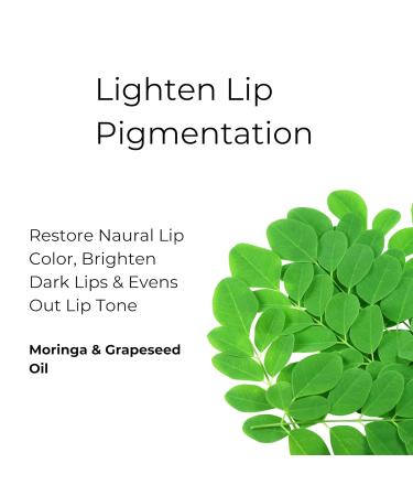 100% Organic Shea Lip Balm for Women - SPF Protection for Dry & Chapped Lips Lip Gloss & Plumper - 15g - Buy Online on GoSupps.com