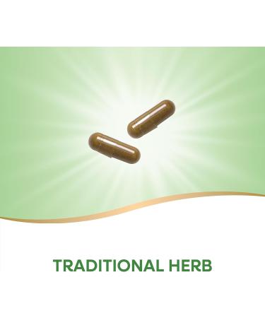 Nature's Way Goldenseal Herb 700 mg - 100 Capsules - Premium Herbal Supplement - Buy Online on GoSupps.com