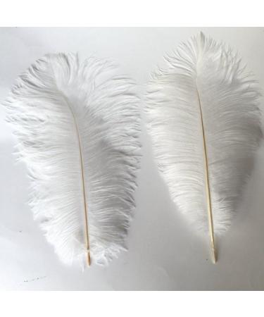 Shekyeon 12-14 inch Ostrich Feathers Pack of 10 - White Wedding Centerpiece Plumes - Buy Online on GoSupps.com