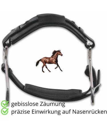 AMKA Hackamore Bitless Bridle with Nose Pad - Black | Premium Quality eCommerce Shipping Worldwide - Buy Online on GoSupps.com