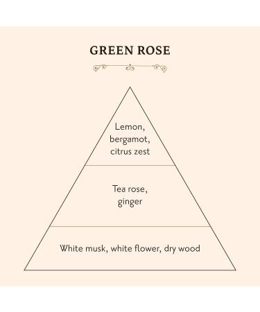 Green Rose Shower Oil - Moisturizing Body Wash with Lemon Bergamot Citrus, Enriched with 4 Natural Oils - 10.5 Fl Oz - For All Skin Types - Buy Online on GoSupps.com