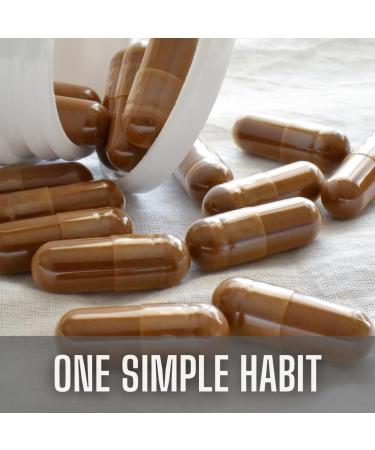 Organic Lion s Mane Mushroom Extract Capsules 100% Pure Mushroom Extract Natural Brain & Focus Support Vegan Superfood Supplement Non-GMO Gluten-Free No Additives 60 Capsules per Bottle - Buy Online on GoSupps.com