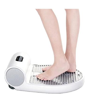 Body Hair Dryer with Gravity Sensor and Weight Scale Natural Warm Air Wind and Cool Wind Whole Body Waterproof Blow Dryer Pet Dry Body Dryer After Shower for Bathroom/Swimming Pool