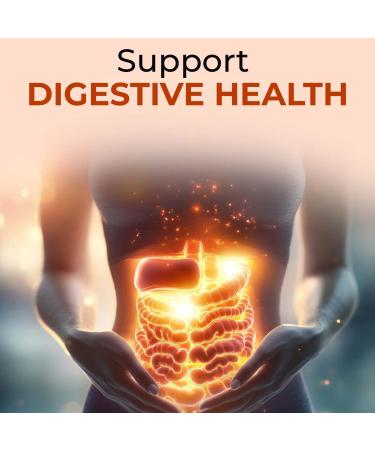 VEDIKROOTS Lavangadi Vati - for Relieving Nasal Congestion Ayurvedic Supplement for Respiratory Issues Support Healthy Digestion 240 Tab (Pack-2) - Buy Online on GoSupps.com