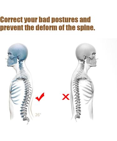 Multi-Level Magnetic Back Support & Lumbar Stretcher for Pain Relief | Relaxation & Spine Massage - Buy Online on GoSupps.com