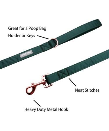 Lionet Paws Dog Leash - Premium Silk Leash for Small Medium & Large Dogs | Stylish Green Matching Collar for Boys & Girls (Pack of 1) - Buy Online on GoSupps.com