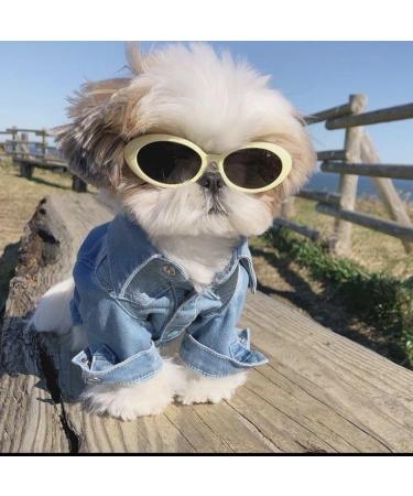 oman Insgfdin Plant Leaves Tea - 50000g | Herbal Tea For Diabetes | Controls Blood Sugar Levels | Costus Igneus | Caffeine Free Tea For Diabetics | 50 Cups - Buy Online on GoSupps.com