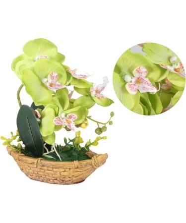 TOPBATHY 3pcs Rn Gift Phalaenopsis Home Accents Decor The Gift Home Forniture Decor Artificial Flower Bonsai Decor for Home Office Decor Garden Simulated Plant Double Fork Fake Orchid Greenx3pcs 27*17.5cmx3pcs - Buy Online on GoSupps.com