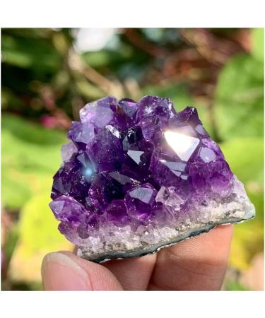 Natural Crystal Rough Stone Crafts Natural Amethyst Geode Quartz Cluster Crystal Specimen Restoration of 70-80g ERBDRGAZ - Buy Online on GoSupps.com