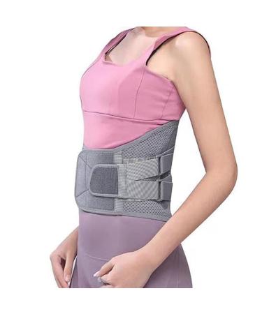 Back Support Belt Breathable Steel Plate Lumbar Support Brace for Lower Back Herniated Disc Back Brace Belt Lumbar Plate Support Lumbar Support Bracket - Buy Online on GoSupps.com