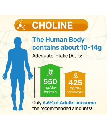 Focus+ Nootropic Electrolyte: Hydration & Brain Support for Cognitive Enhancement Memory Concentration - Citicoline Organic Caffeine Methyl B12 - USA Made (10 Packets) (10 Packets Orange) Orange 2.93 Ounce (Pack of 1) - Buy Online on GoSupps.com