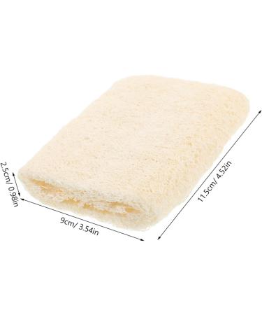 Loofah Back Brush Head - Travel Shower Scrubber for Body Rich Foaming Bath Cleanser | International Shipping Available - Buy Online on GoSupps.com