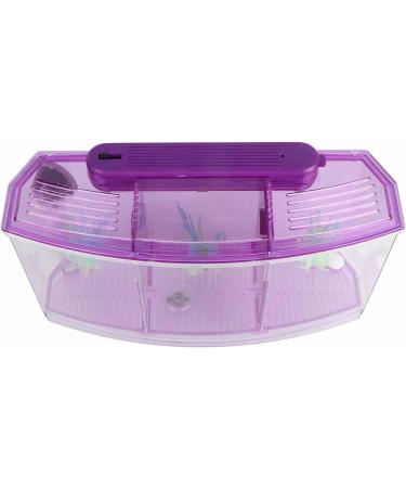 Aquarium Fish Tank Transparent Aquarium Fish Tank LED Acrylic Three Divisions Breeding Isolation Box for Small Fishes Mini Breeding Fish Tank (Purple) - Buy Online on GoSupps.com