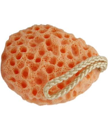 Cabilock Face Exfoliator Sponge Body Cleansing Sponge Exfoliating Bath Sponge Remover Dead Skin Facial Exfoliator Sponge Loofah Sponge Fruit Bath Sponge Bath Shower Dish Spa Miss Body Brush - Buy Online on GoSupps.com