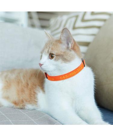 Personalized Cat Neck Bands with Bell - Custom Safety Buckle & Embroidered ID for Kittens - Orange - Buy Online on GoSupps.com
