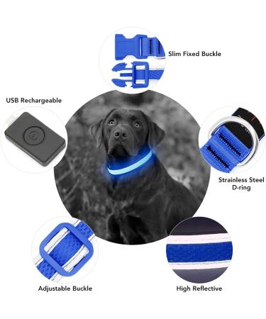 Yfbrite Large Blue LED Dog Collar | Rechargeable Reflective & Flashing Safety Collar | Adjustable Night Light for Dogs - Buy Online on GoSupps.com