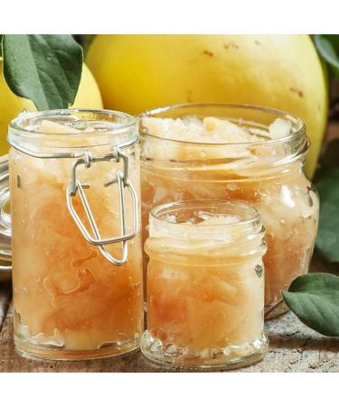 Dulce de Membrillo Cerro P te de Coing Espagnole Artisanale (Membrillo Espa ol) Quince Paste 400g - Buy Online on GoSupps.com